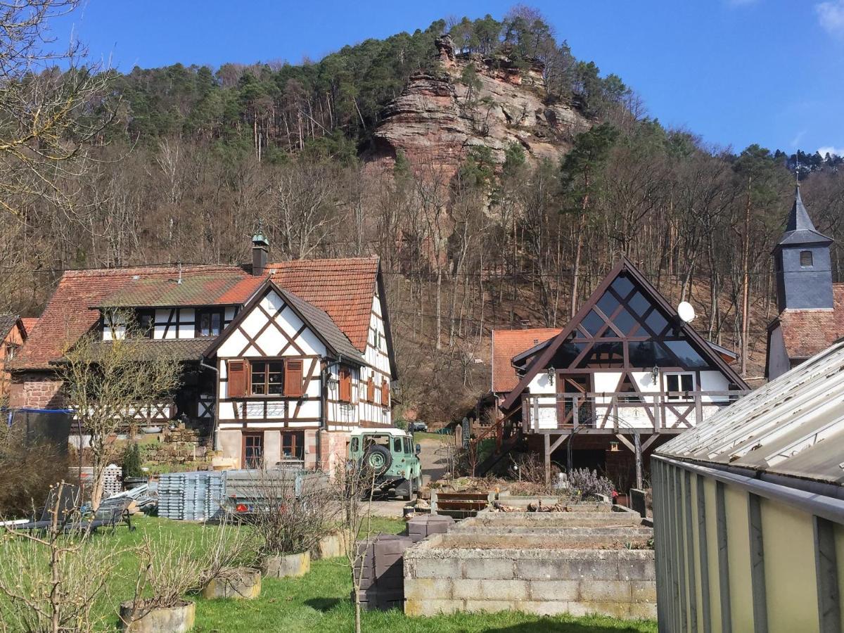 Gite Des Chateaux-Forts Obersteinbach Eksteriør billede
